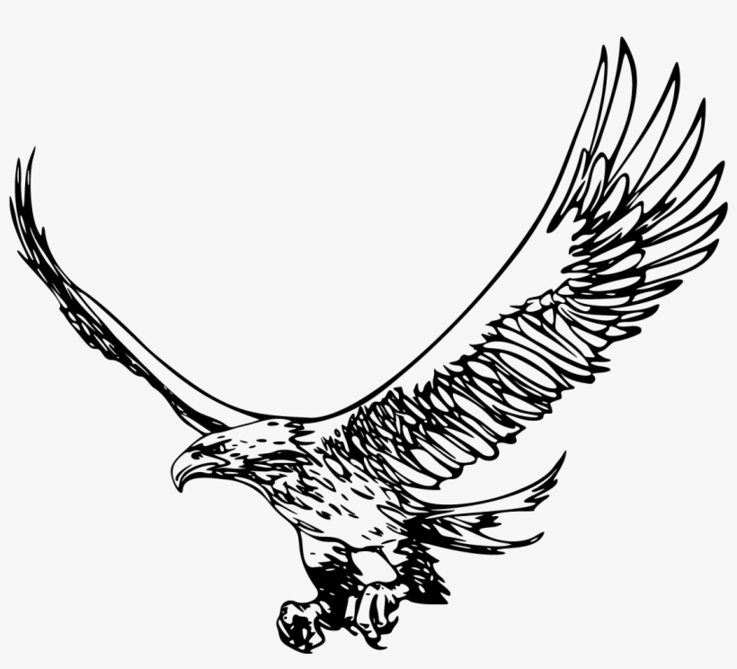 Eagle Transparent Png Clipartu200b - Eagle Clipart, transparent png