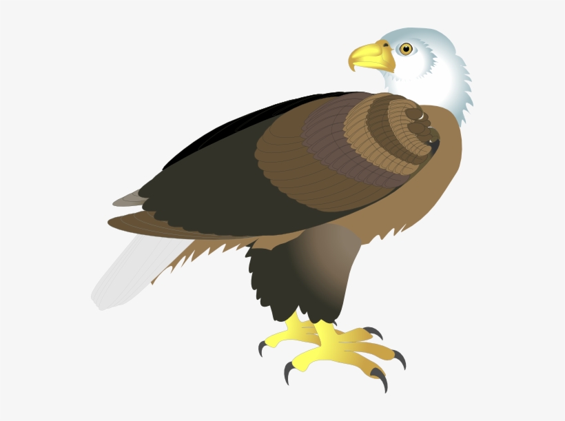 Eagle Clipart Side View - Bold Bald Eagle Mug, transparent png