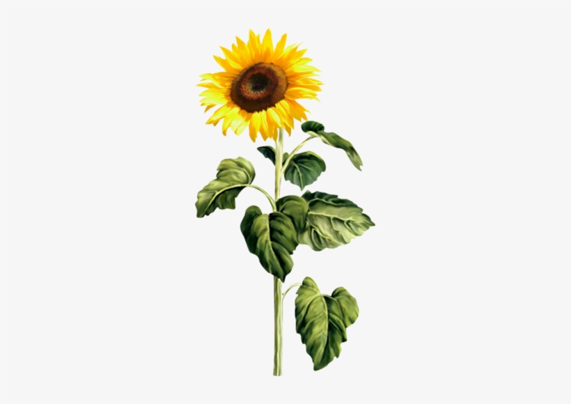24 - Happy Birthday October Born, transparent png