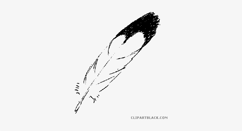 Image Library Download African Drawing Feather - Eagle Feathers Clip Art, transparent png