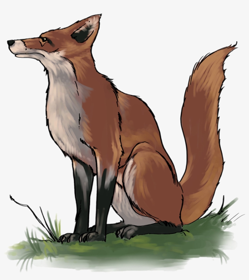 Fox Clipart School Pencil And In Color Fox Clipart - Clip Art, transparent png