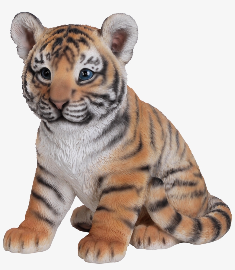 Tiger Cub Baby Triger Photo - Tiger Cub Sitting, transparent png