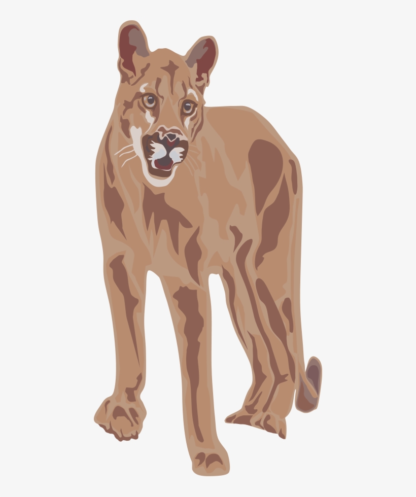 Tiger Clipart Png, transparent png