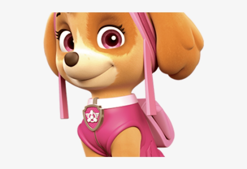 Head Clipart Paw Patrol - Paw Patrol 3rd Birthday Card, transparent png