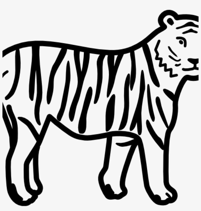 Tiger Clipart Black And White Tiger Clip Art Black - Tiger Images Black And White, transparent png