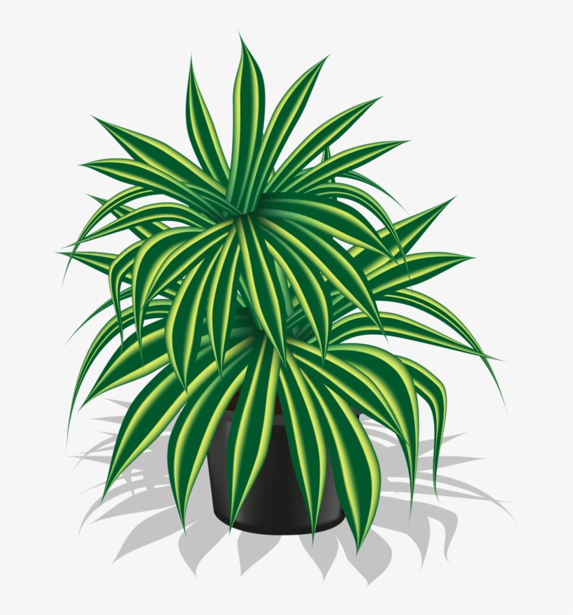 Hand-painted Plant Pot, Green, Plant, Potted Png Image - Clip Art, transparent png