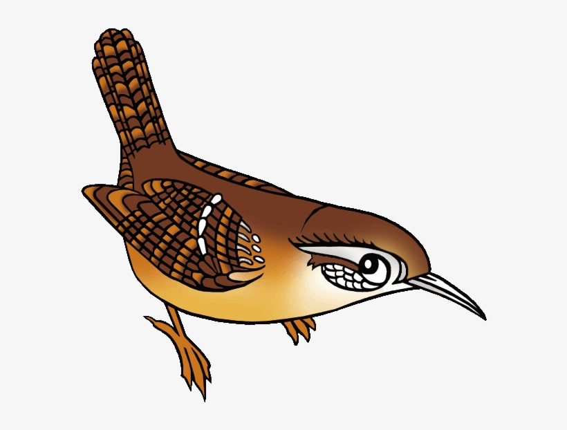 Wren Clipart Florida - Cactus Wren Clip Art, transparent png