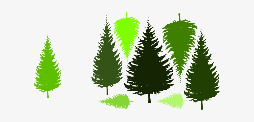 Pine Tree Grouping By Jc Clip Art - Pine Tree Silhouette, transparent png