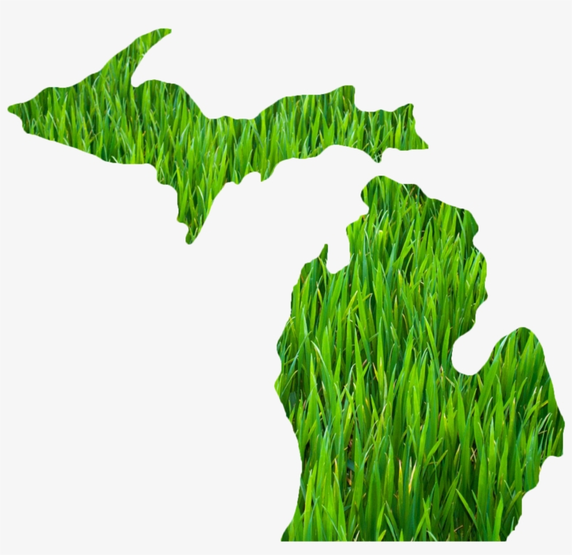 Michigan Outline Grass - State Of Michigan, transparent png