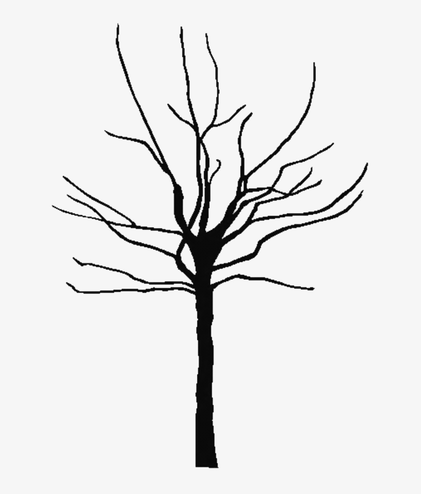 Tree Outline Printable Clipart Best Free Coloring Transparent Family Tree Clipart 640x1 Png Download Pngkit