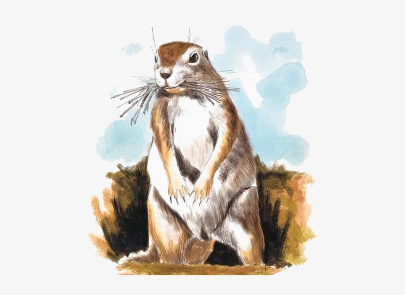 Chipmunk Mole Watercolor Painting Illustration - Drawing, transparent png