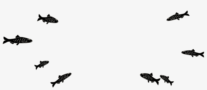 School Of Fish - School Of Fish Transparent, transparent png