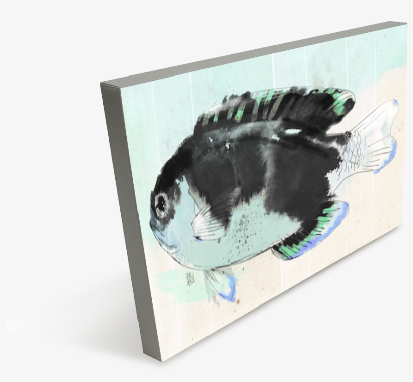 School Of Fish - Fish, transparent png