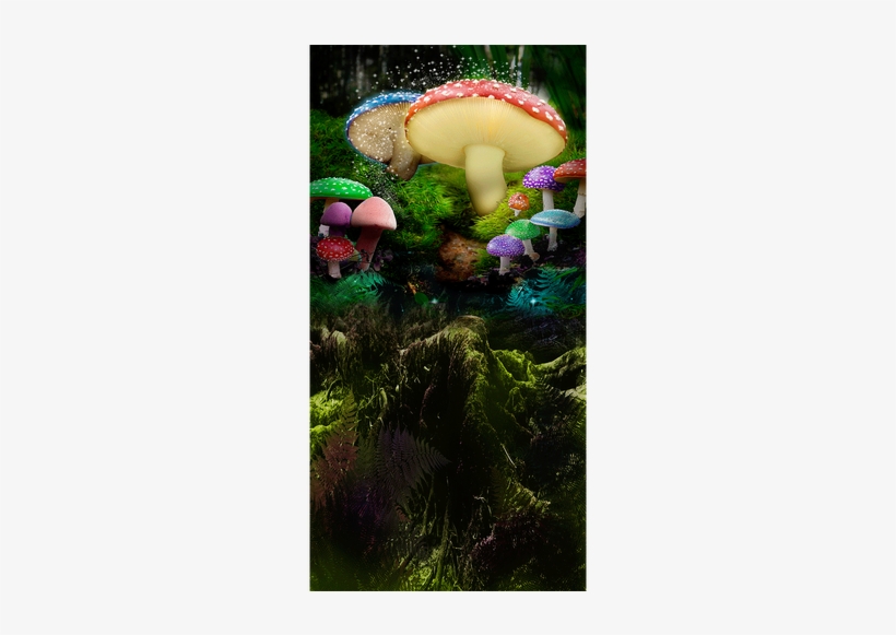 Wonderland With Fairy Dust - Shiitake, transparent png