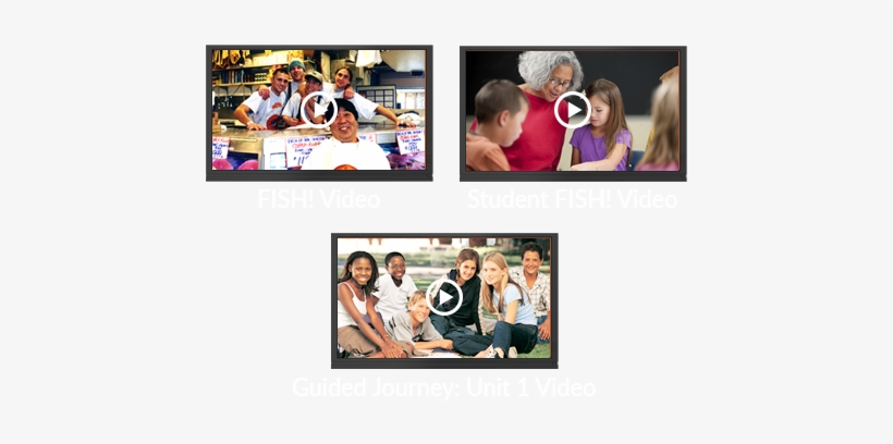 Watch Free Previews Of Fish For Schools Videos - Collage, transparent png