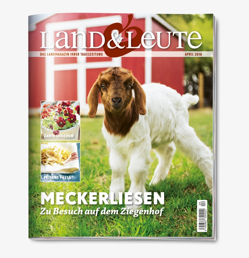 Welchen Tageszeitungen Land & Leute Beiliegt Erfahren - Stock Photography, transparent png