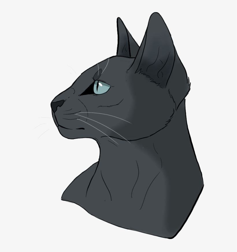 Patte De Silex / Fleur De Sureau Lgdc Nuit Étoilée - Cat Yawns, transparent png