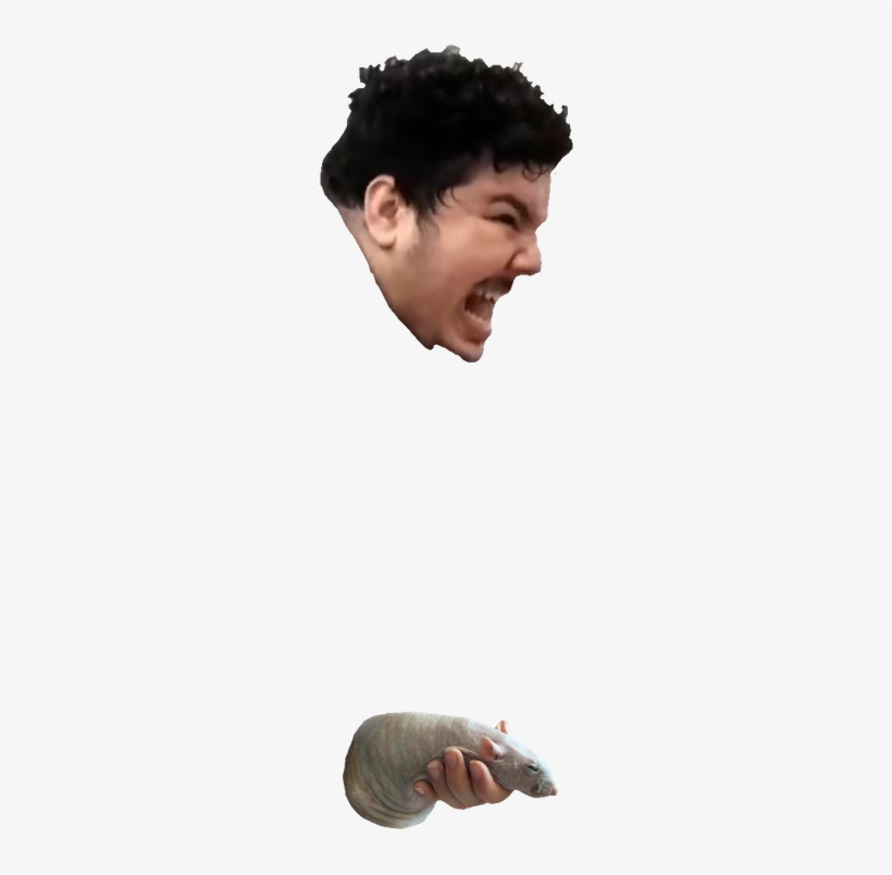 Chin Nose Forehead Neck - I M Squeezing My Hog, transparent png