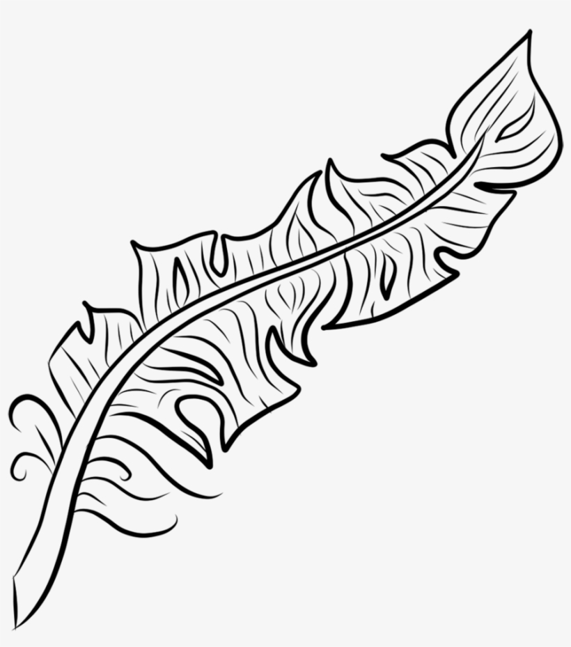 Feather, transparent png
