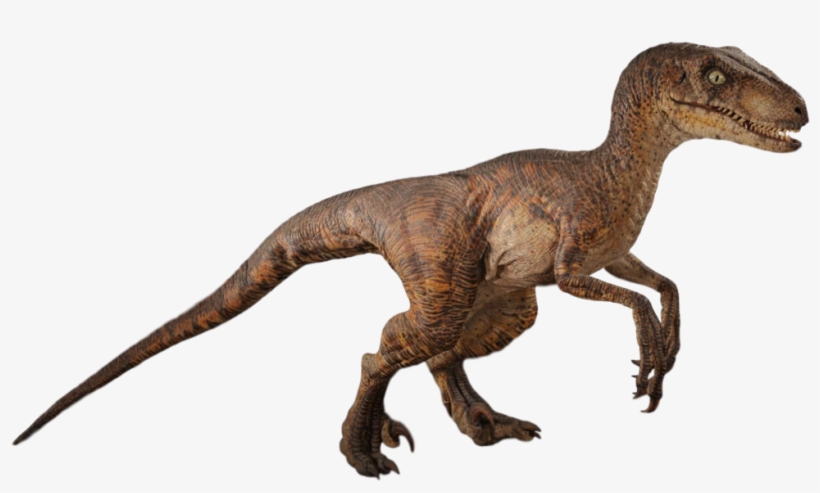 Jurassic Park Velociraptor By Camo Flauge-dcewck1 - Jurassic Park Velociraptor Png, transparent png
