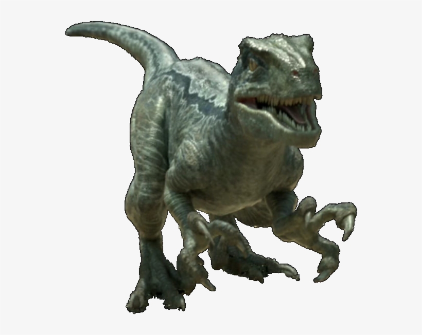 Jurassic World Velociraptor V4 By Sonichedgehog2-da9f2eg - Stegosaurus Jurassic World 2, transparent png