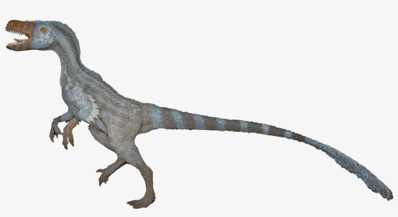 Velociraptor Transparent Images Png - Velociraptor Mongoliensis Png, transparent png