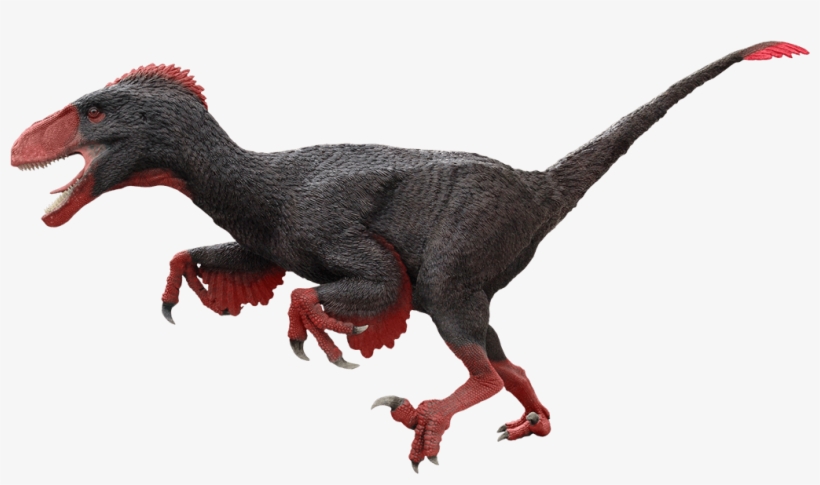 Utahraptor - Utahraptor Dinosaur, transparent png