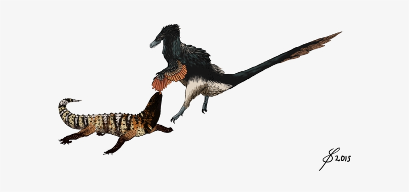 Archeroraptor By Plastospleen - Acheroraptor Saurian, transparent png