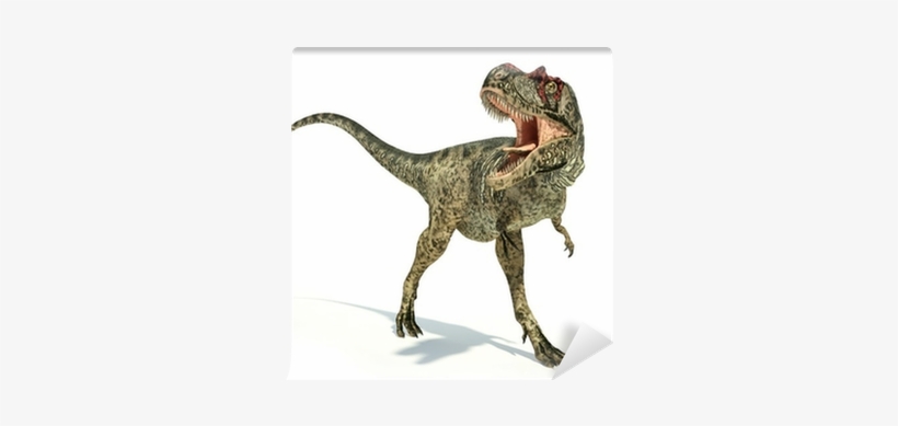 Albertosaurus Dinosaur, Photorealistic Representation, - Albertosaurus Dinosaur On White Background Canvas Art, transparent png