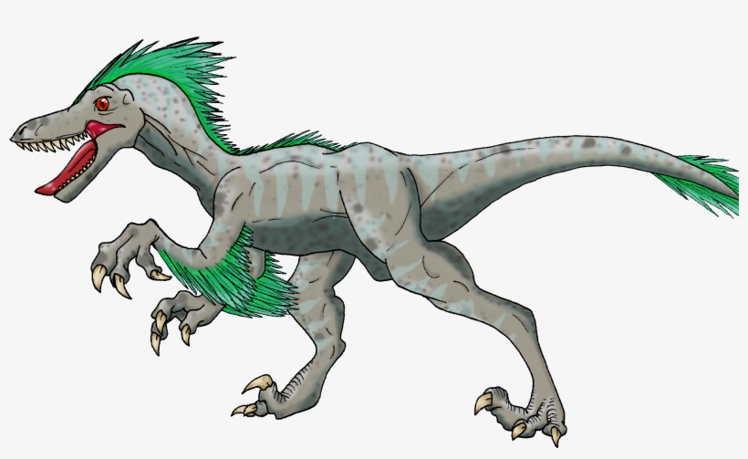 Velociraptor, transparent png