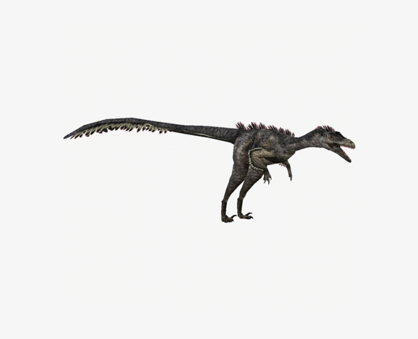 Jurassic Park Velociraptor Png, transparent png