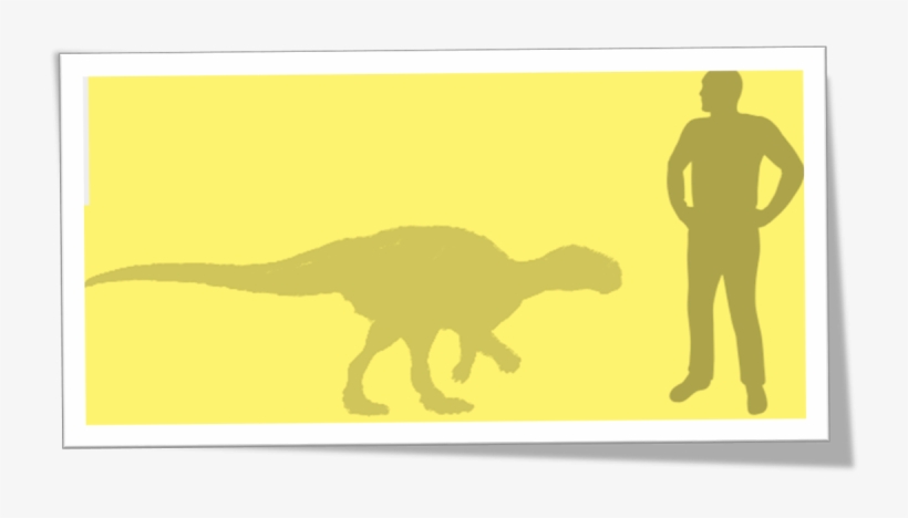 Zalmoxes-768x412 - Zalmoxes, transparent png