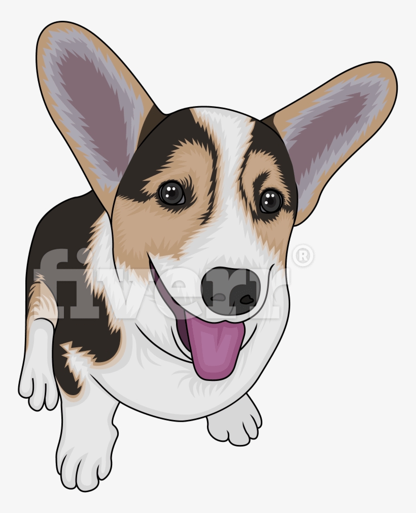 Pembroke Welsh Corgi, transparent png