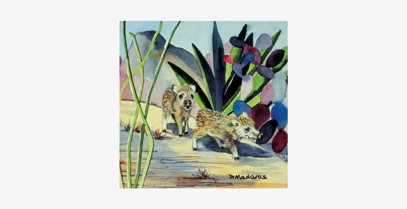 Looking For Mom - Tucson, transparent png