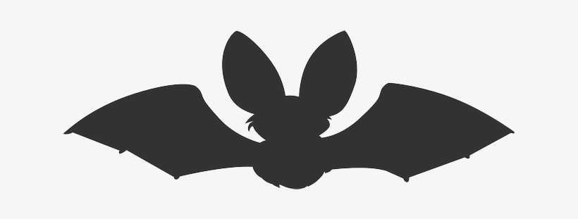 Bat, Animal, Dark, Flying, Night, Scary, Silhouette - Pipistrelle Gillian Clarke, transparent png
