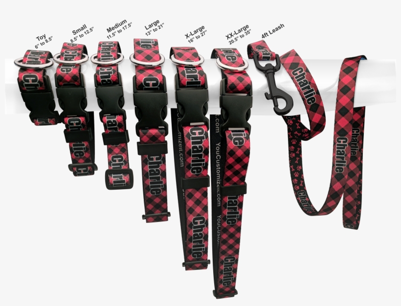 Dog Collar Comparison Multiple Sizes Carabiner 2835x2048 PNG
