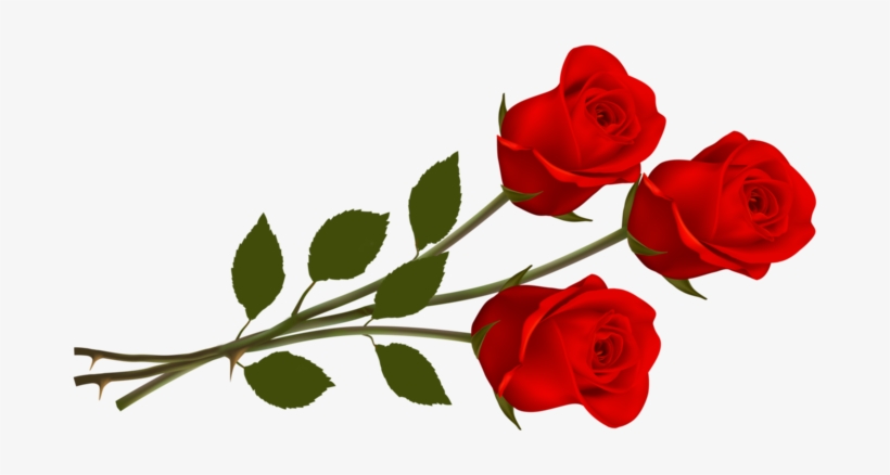 Rosas En Png - Thank You Rose Flowers, transparent png