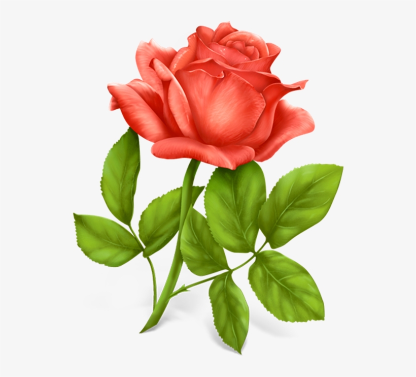 Red Roses Png Clipart Picture Only Roses Pinterest - Best Wishes Happy Married Life, transparent png