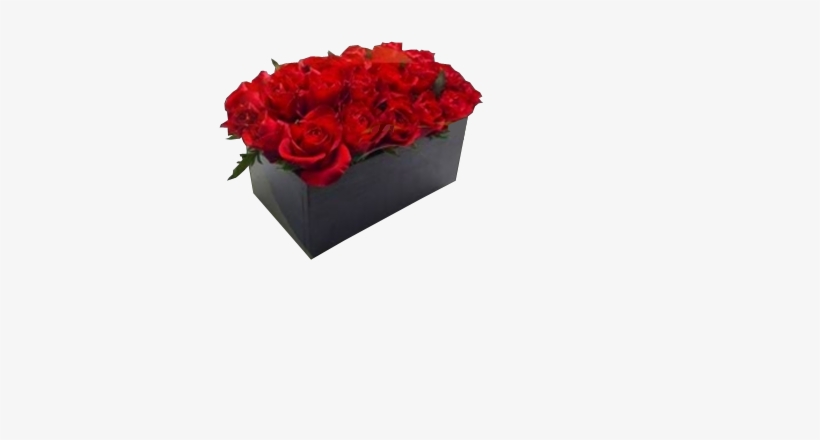 Caja De Rosas - Garden Roses, transparent png