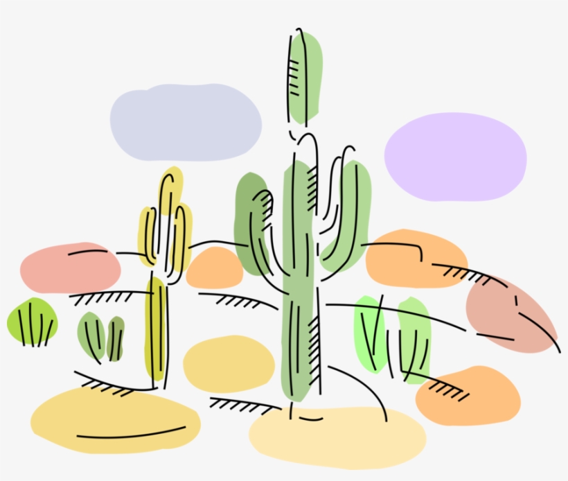 Desert Cactus Plant In Sonoran Desert - Desert, transparent png