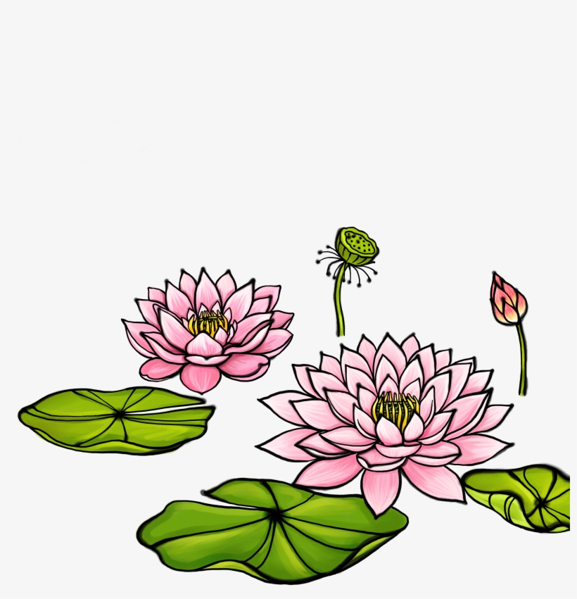 Clipart Transparent Library Watercolor Painting Illustration - 荷花 卡通, transparent png