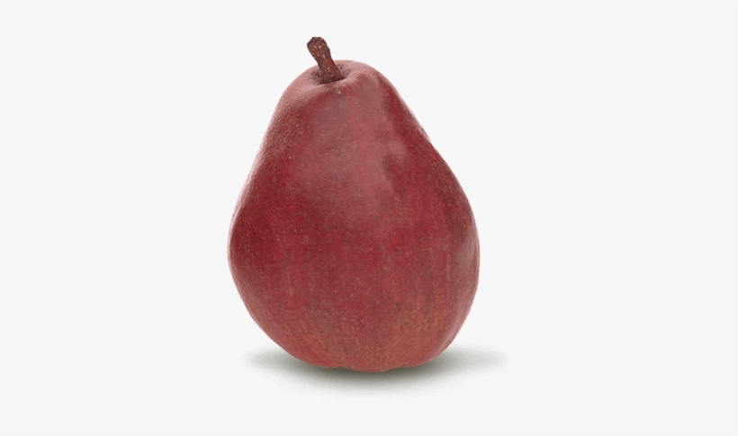Red Pears - Anjou Pears, transparent png