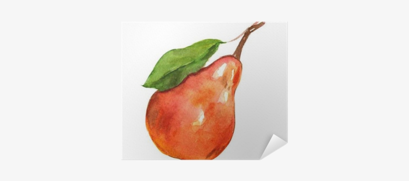 Watercolor Birne, transparent png