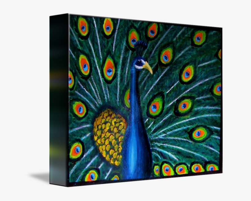 Peacock On X Canvas - Peafowl, transparent png