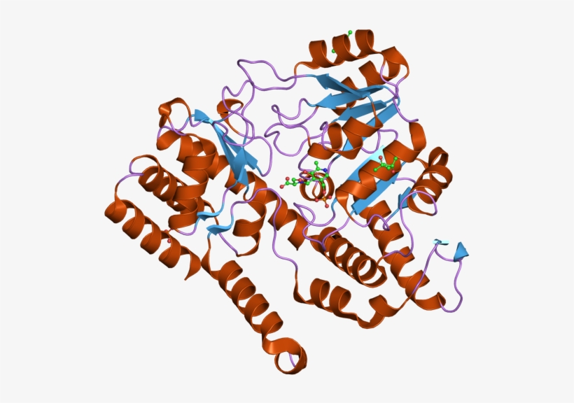 Pdb 2vmp Ebi - Graphic Design, transparent png