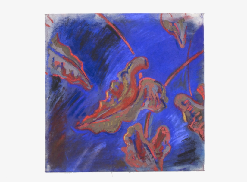Snaking Elephant Ear, 20"x20" Pastel - Canvas, transparent png