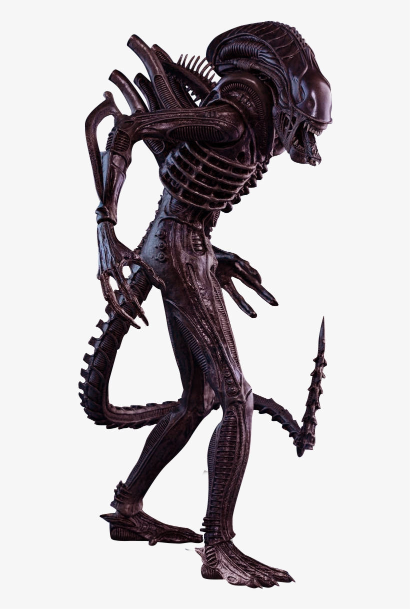 Aliens Cutouts Animalaliens - Alien Warrior Sixth Scale Hot Toys Action Figure, transparent png