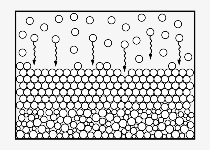 This Is My Phd Thesis, Today It Is Exactly 12 Years - 5分袖シャツ(18ss), transparent png