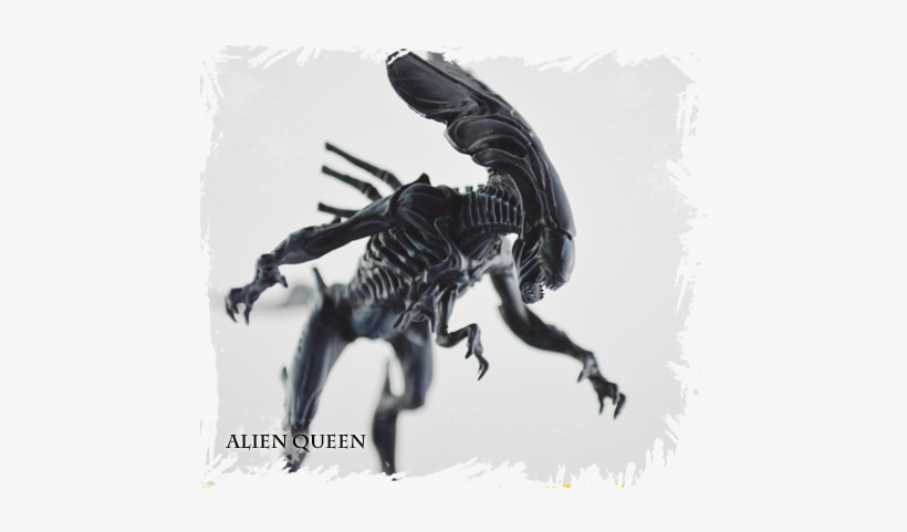 Alien Queen - Avp The Hunt Begins Alien Queen, transparent png