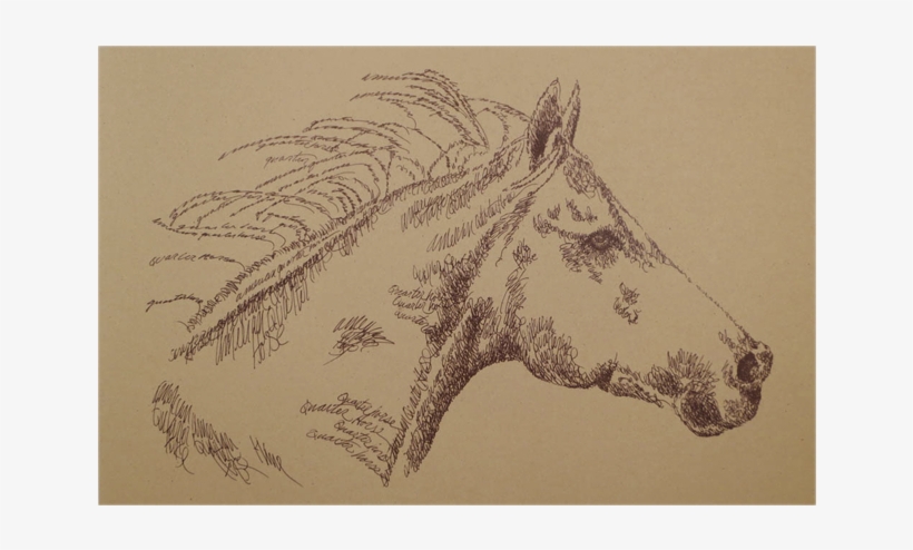 Portrait By Stephen Kline - Horse, transparent png